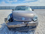 Volkswagen Beetle 2013