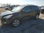 Ford Escape 2014