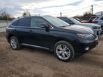 Lexus RX 2010