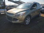 Ford Escape 2013