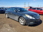 Hyundai Sonata 2013