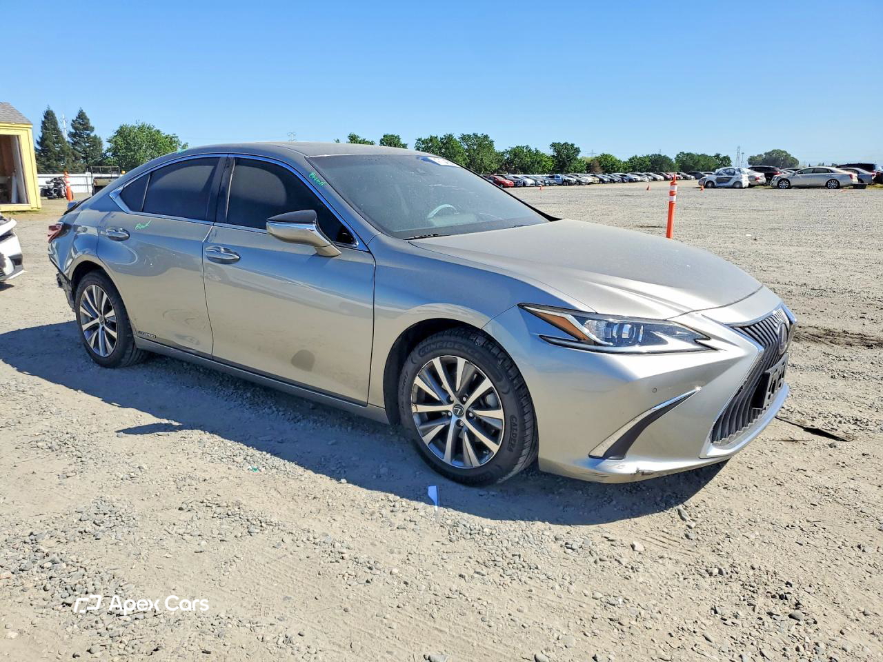Lexus ES 2020