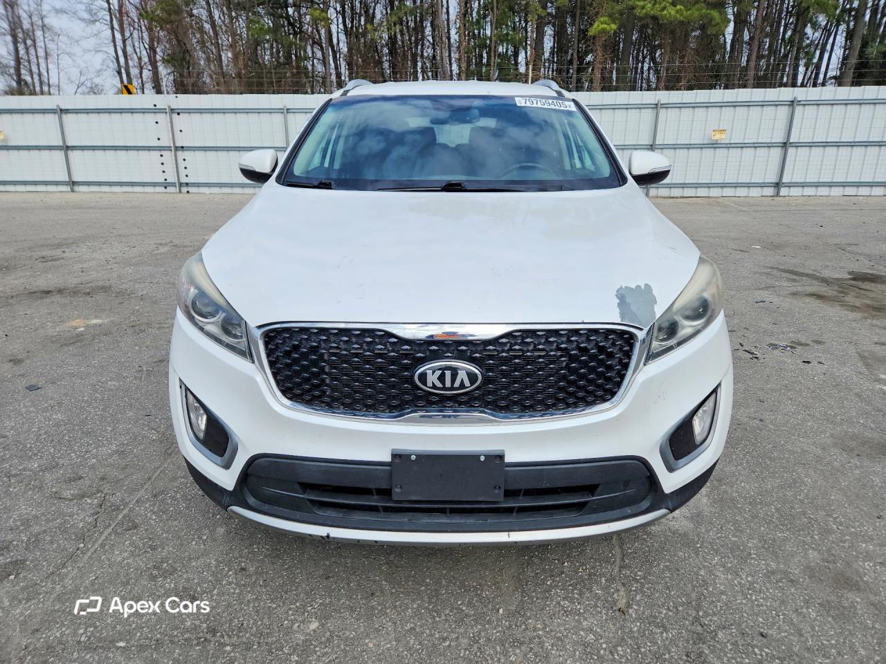 Kia Sorento 2017