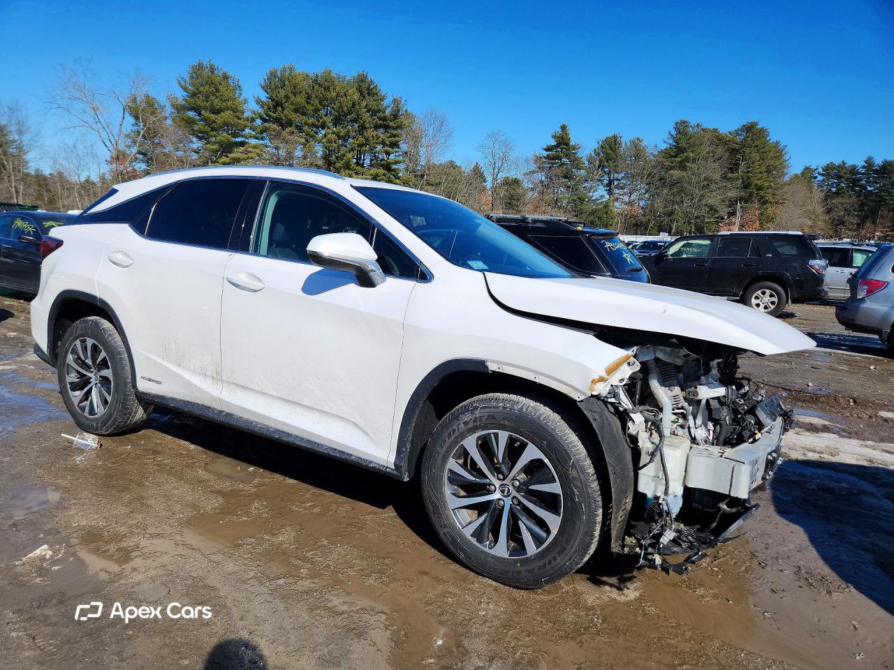 Lexus RX 2020