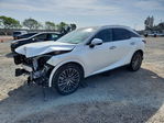 Lexus  2024