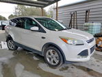 Ford Escape 2014