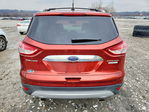 Ford Escape 2014