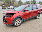 Ford Escape 2014