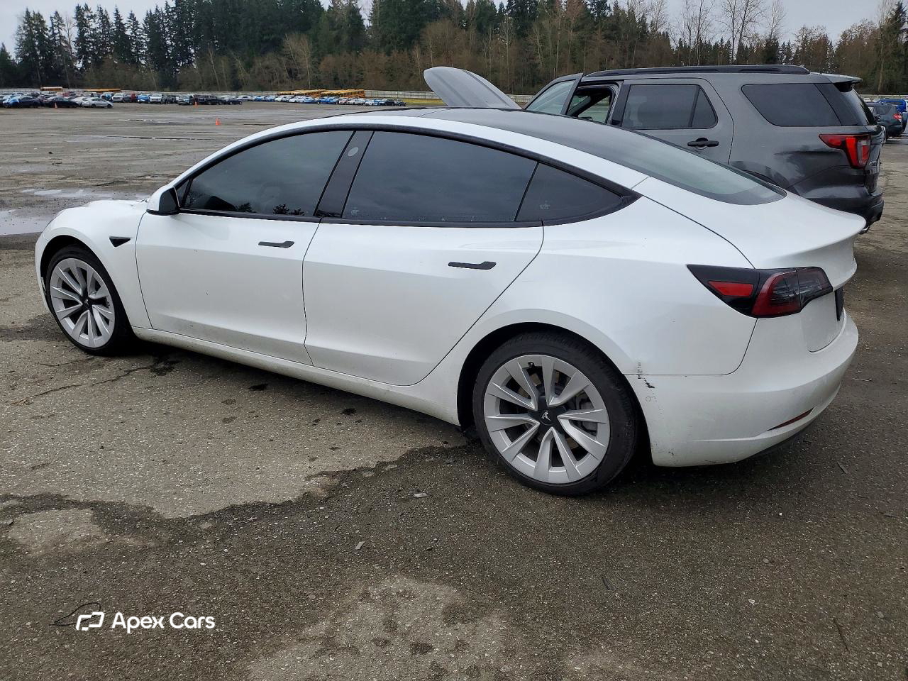 Tesla Model 3 2021