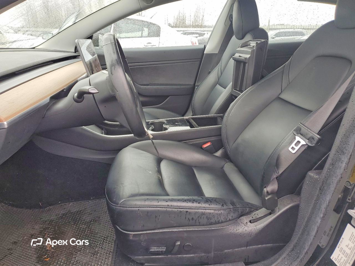 Tesla Model 3 2019