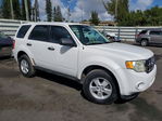 Ford Escape 2010