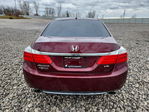 Honda Accord 2013