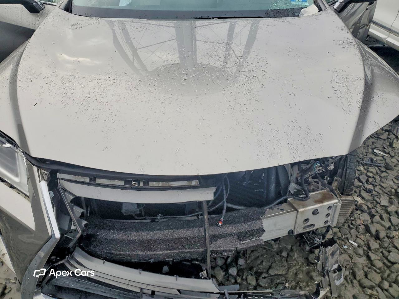 Lexus RX 2019