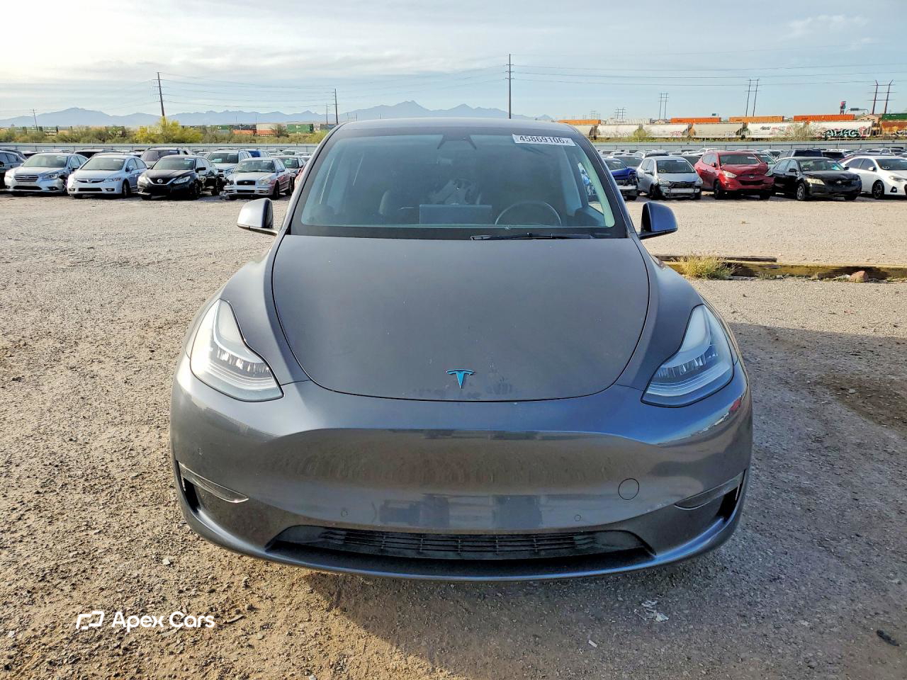 Tesla Model Y 2021