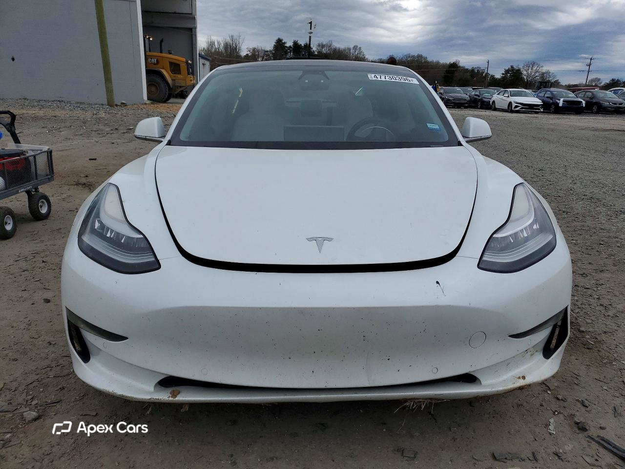Tesla Model 3 2019