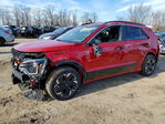 Kia Niro 2024