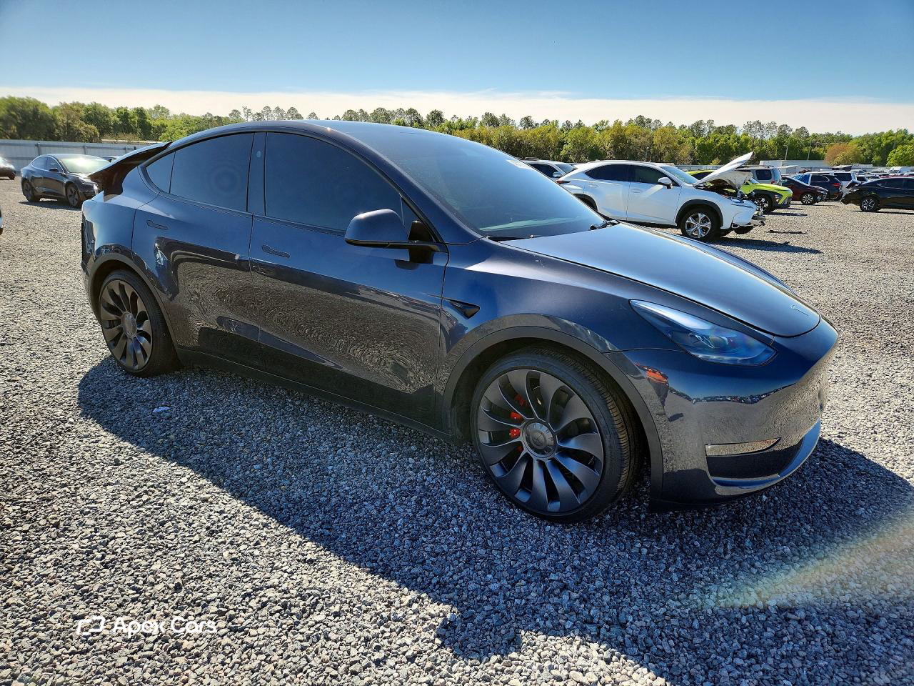 Tesla Model Y 2025