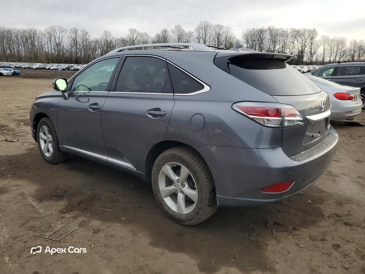 Lexus RX 2013