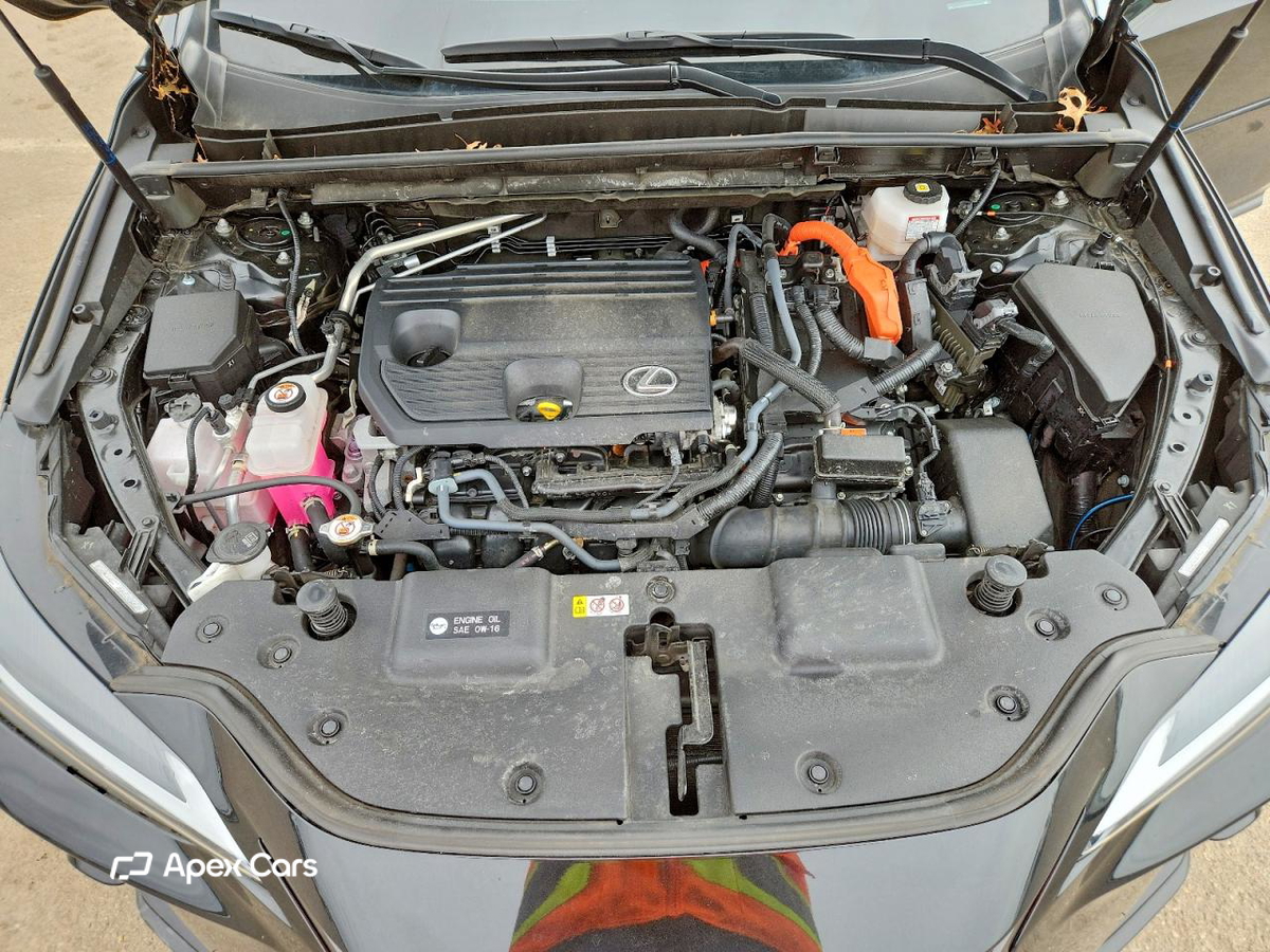 Lexus NX 2024