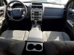 Ford Escape 2011