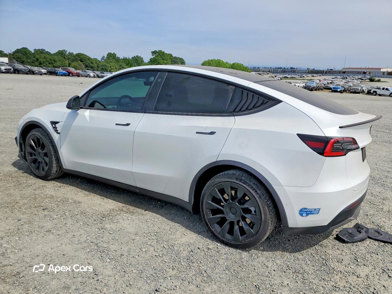 Tesla Model Y 2021