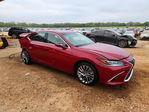 Lexus ES 2024
