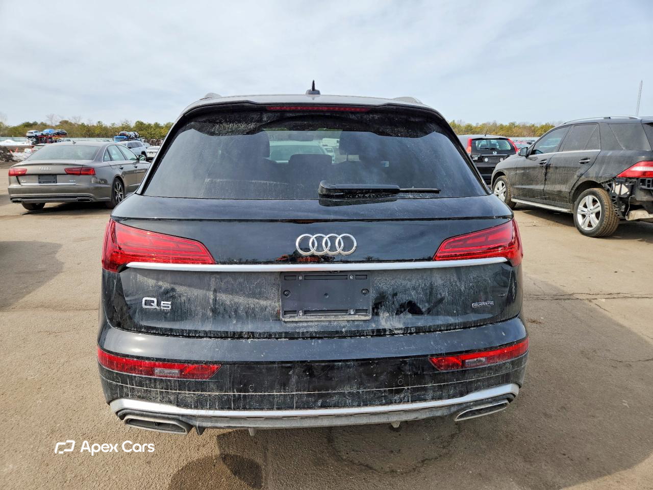 Audi Q5 2023