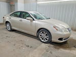 Lexus ES 2010