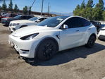 Tesla Model Y 2020