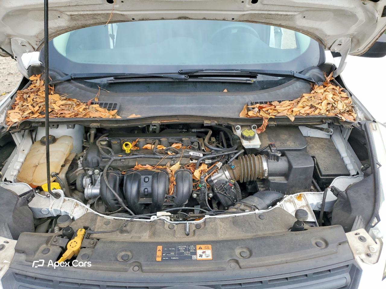 Ford Escape 2016