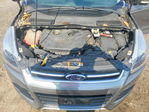 Ford Escape 2013