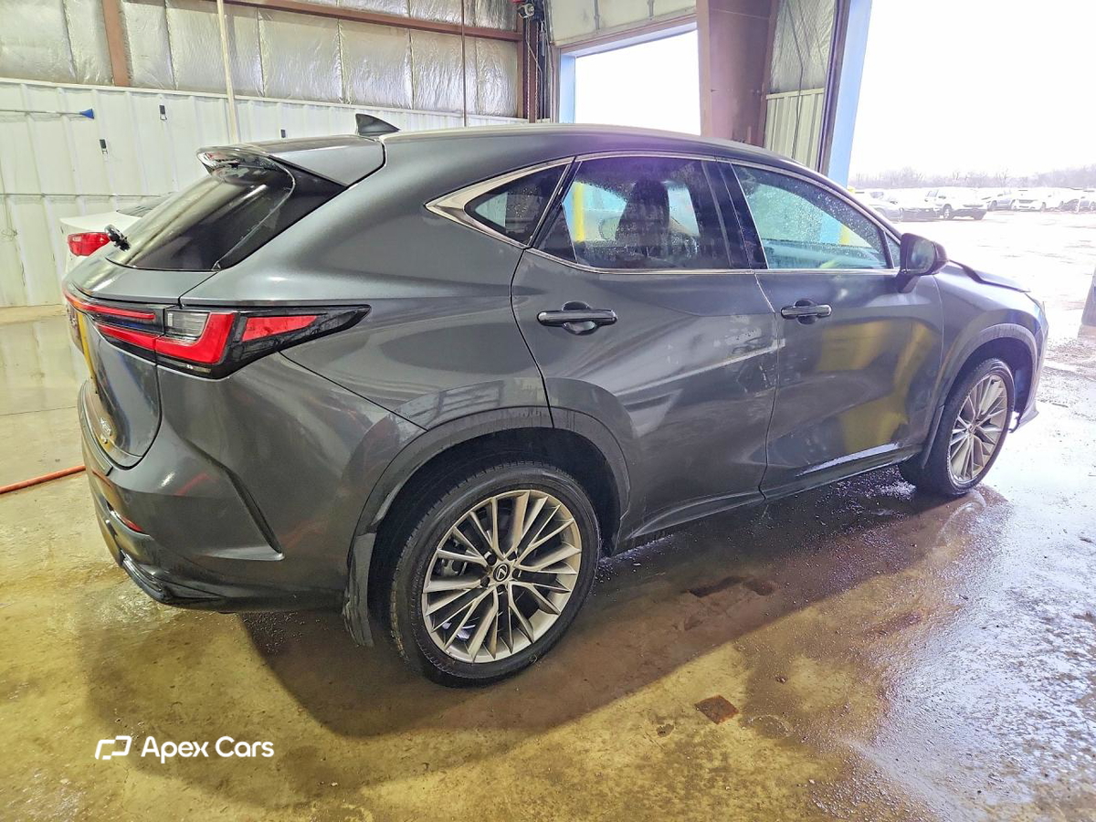 Lexus NX 2025