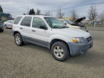 Ford Escape 2007