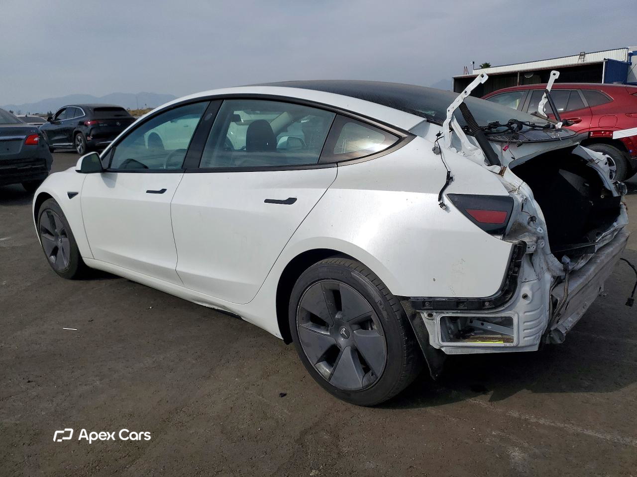 Tesla Model 3 2021