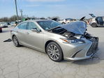 Lexus ES 2019