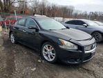 Nissan Maxima 2012