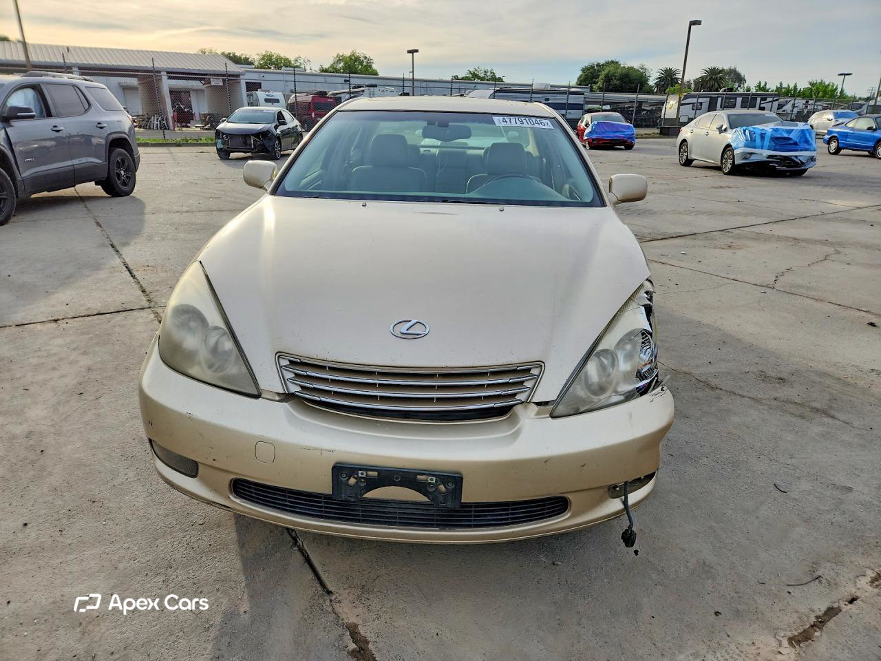 Lexus ES 2004