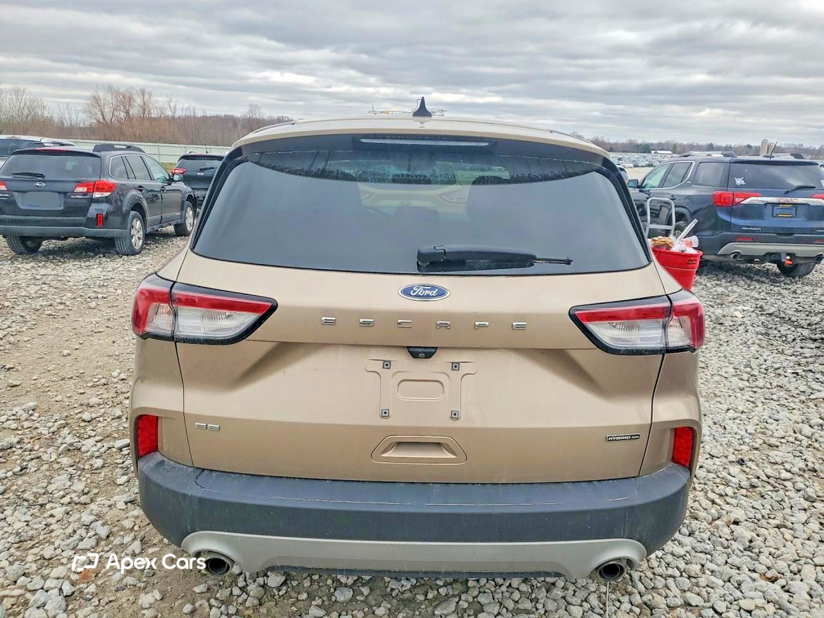 Ford Escape 2020