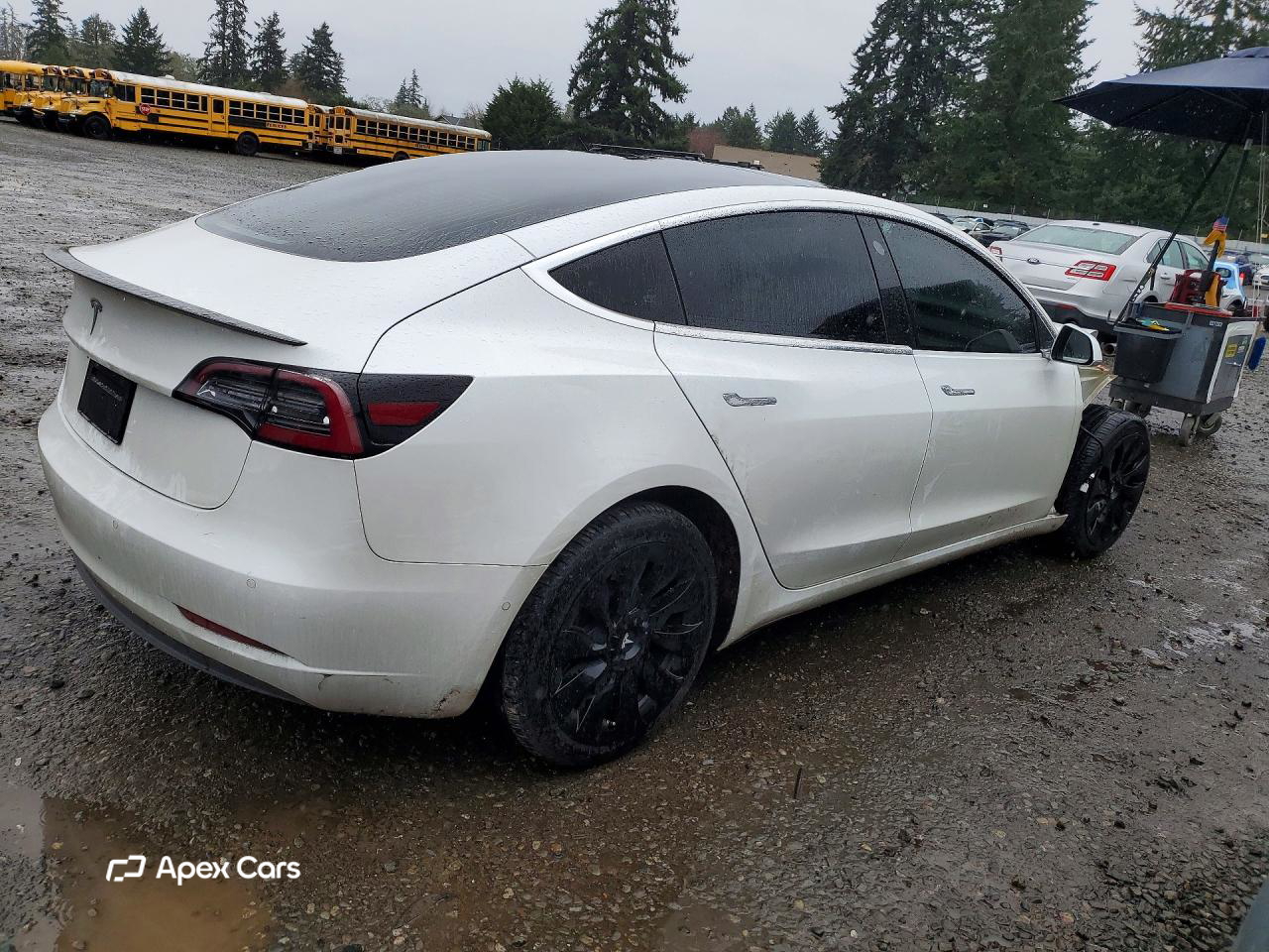 Tesla Model 3 2019