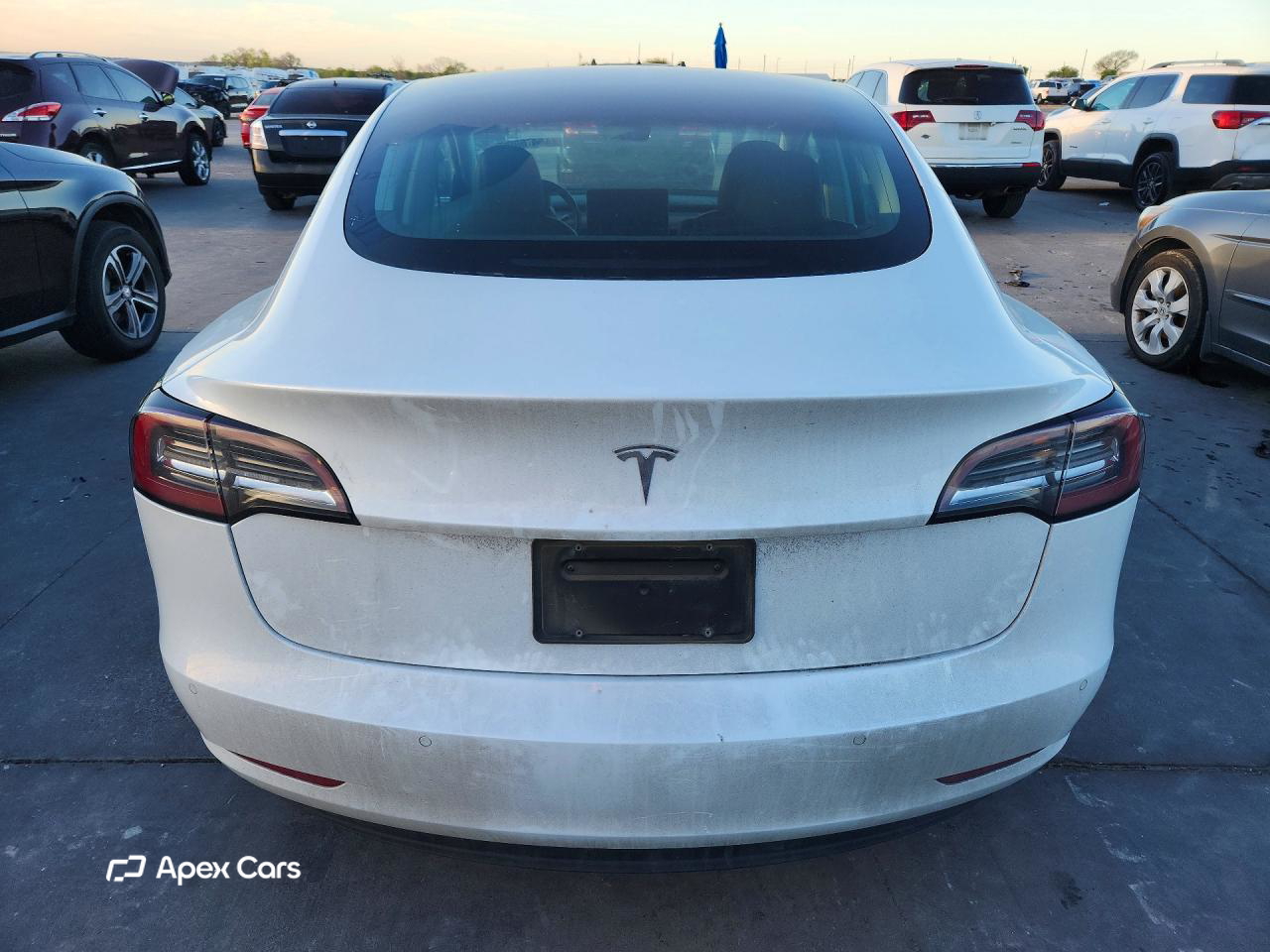 Tesla Model 3 2019