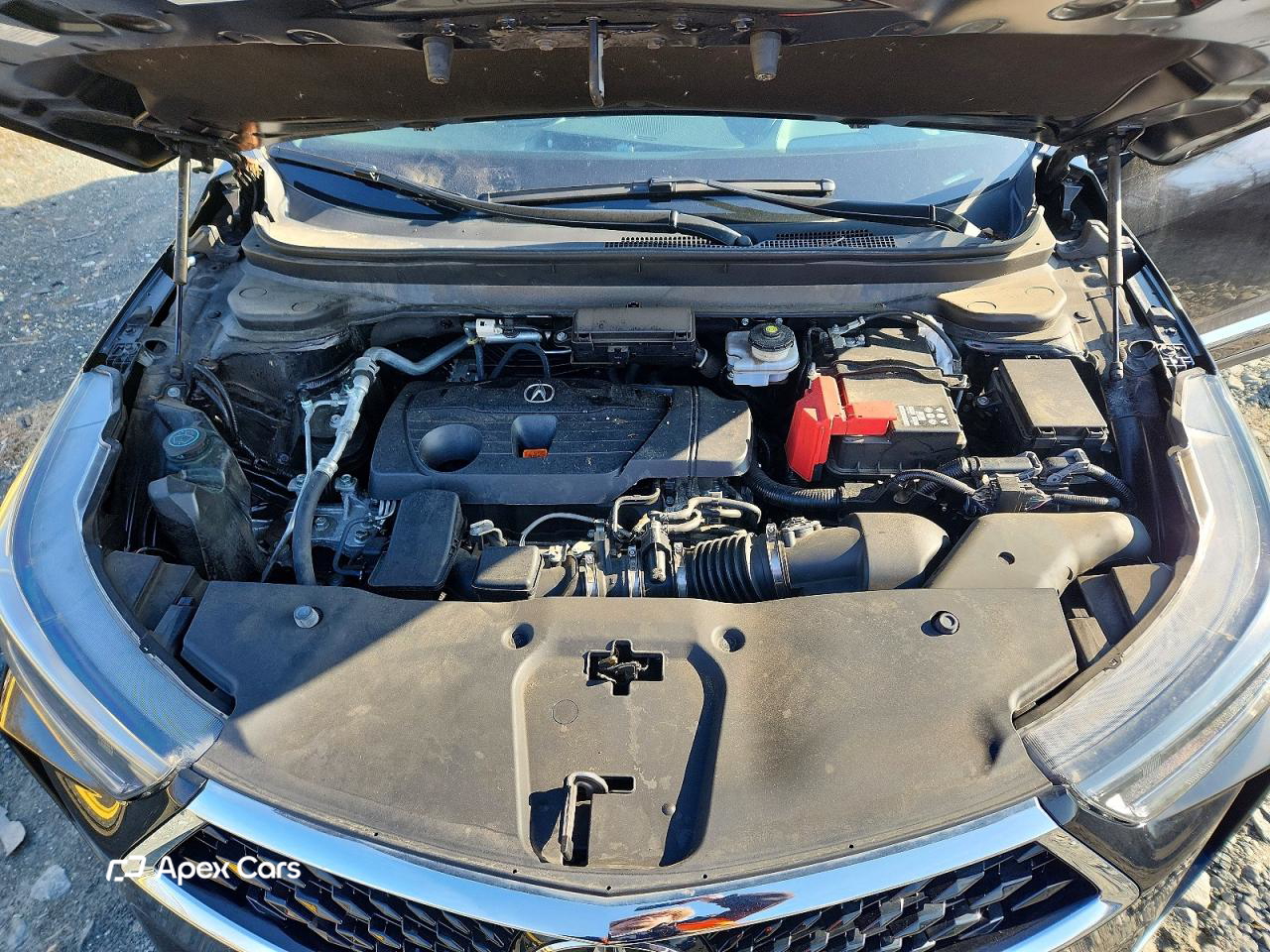Acura RDX 2022