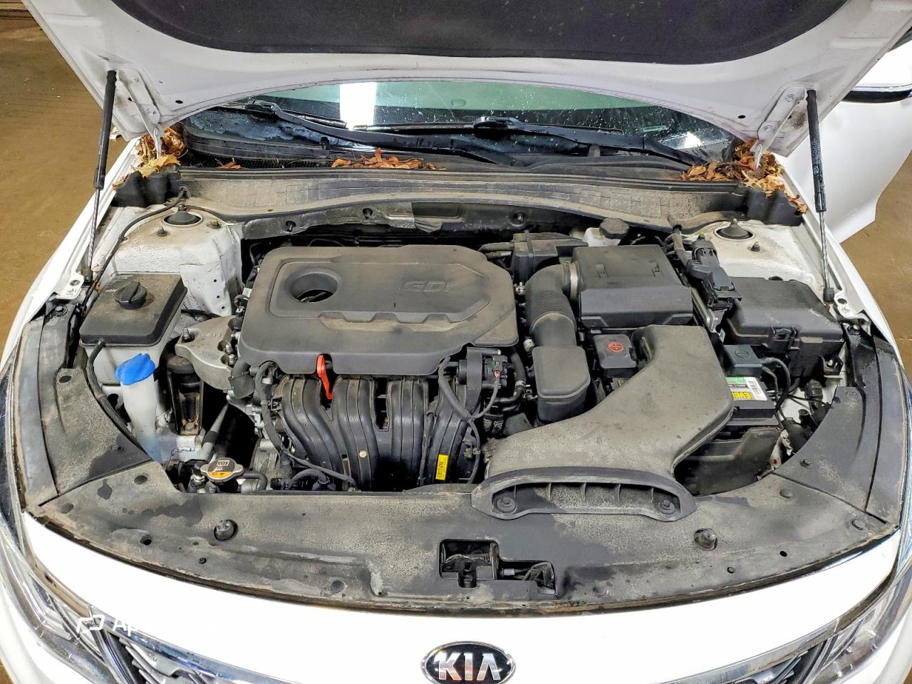 Kia Optima 2020