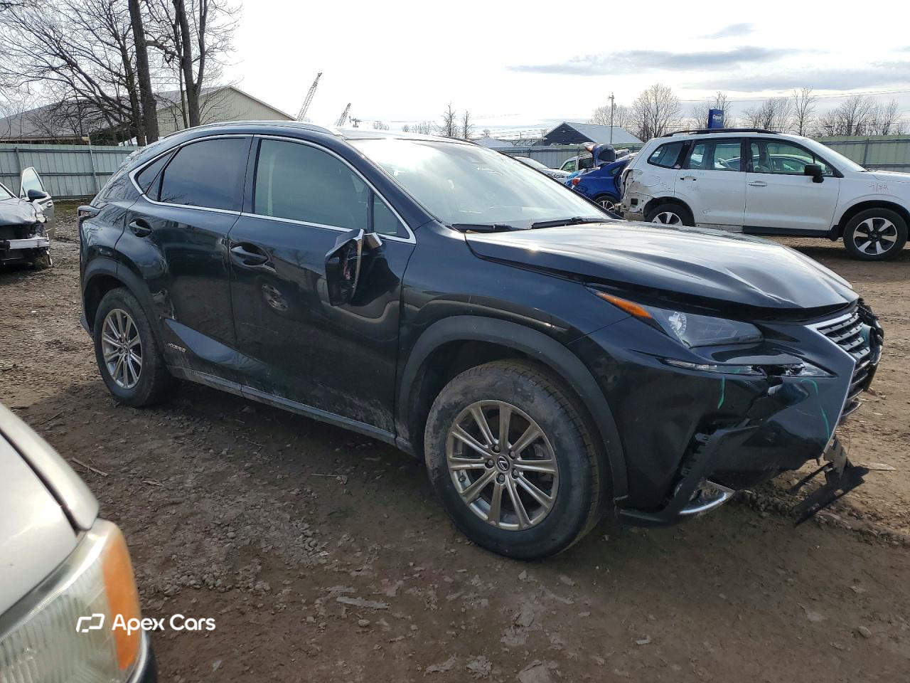 Lexus NX 2021