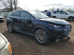 Lexus NX 2021