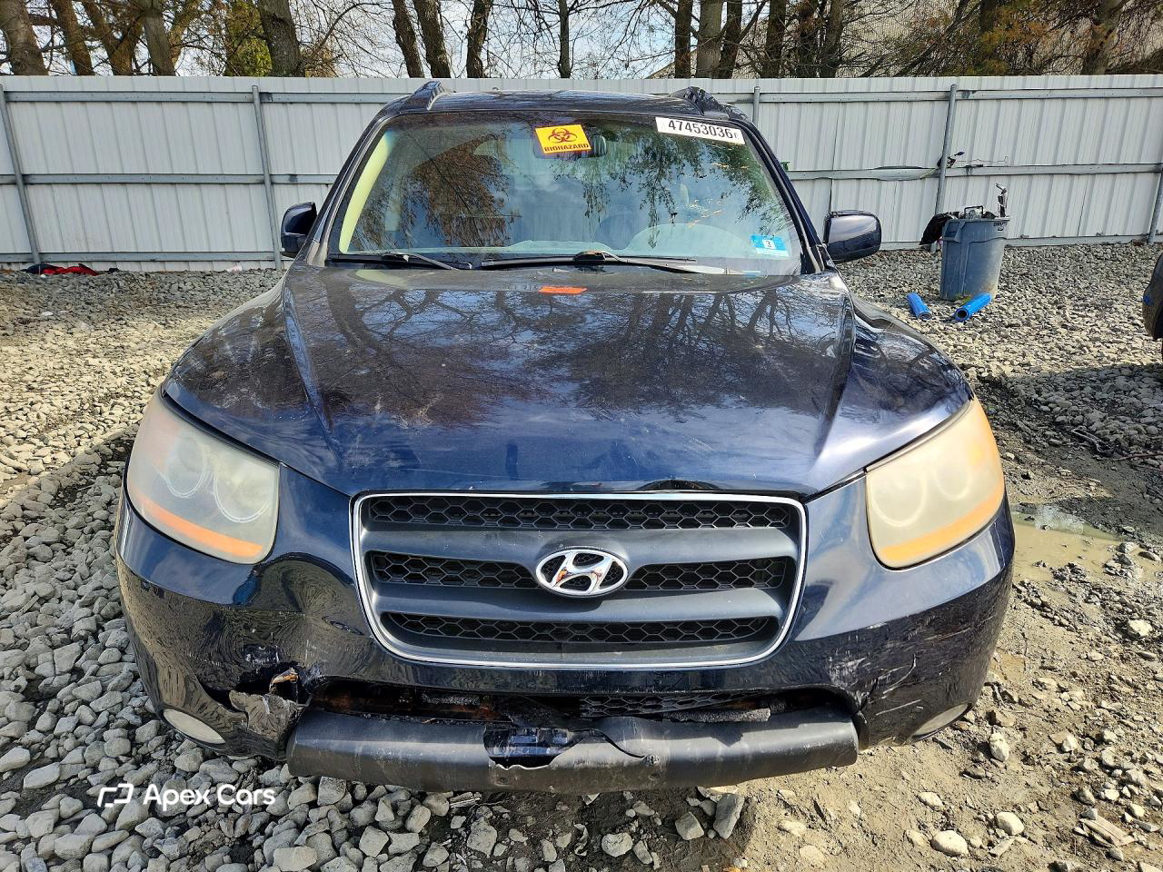 Hyundai Santa Fe 2008