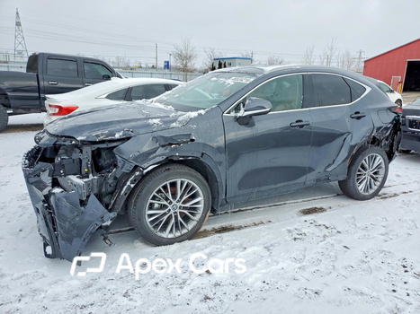 Lexus NX 2025 - Image 1 of 13