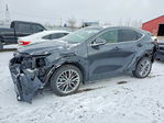 Lexus NX 2025