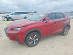 Lexus NX 2021