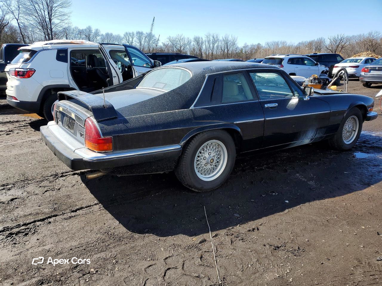 Jaguar XJS 1989