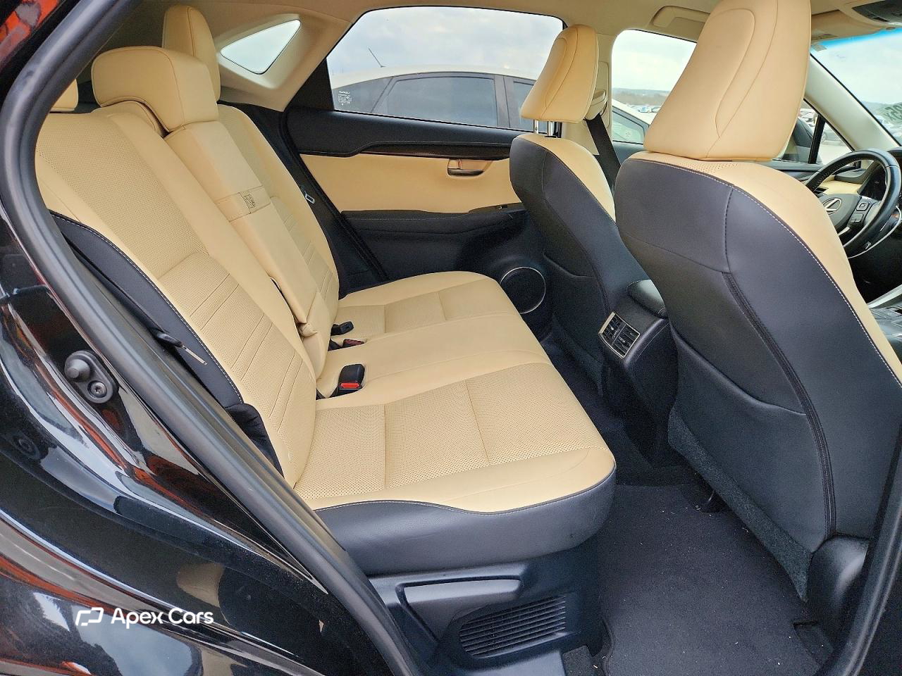 Lexus NX 2018